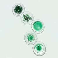 Powercell Skinmunity Esencia  200ml-196922 Powercell Skinmunity Esencia  200ml-196922 4